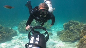 Diving Phuket Season